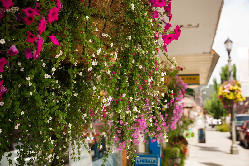 flower-pots