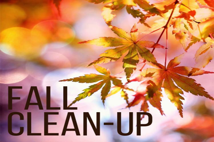 wb-fall-clean-up wb-fall-clean-up