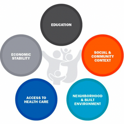 Figure 1. The Social Determinants of Health